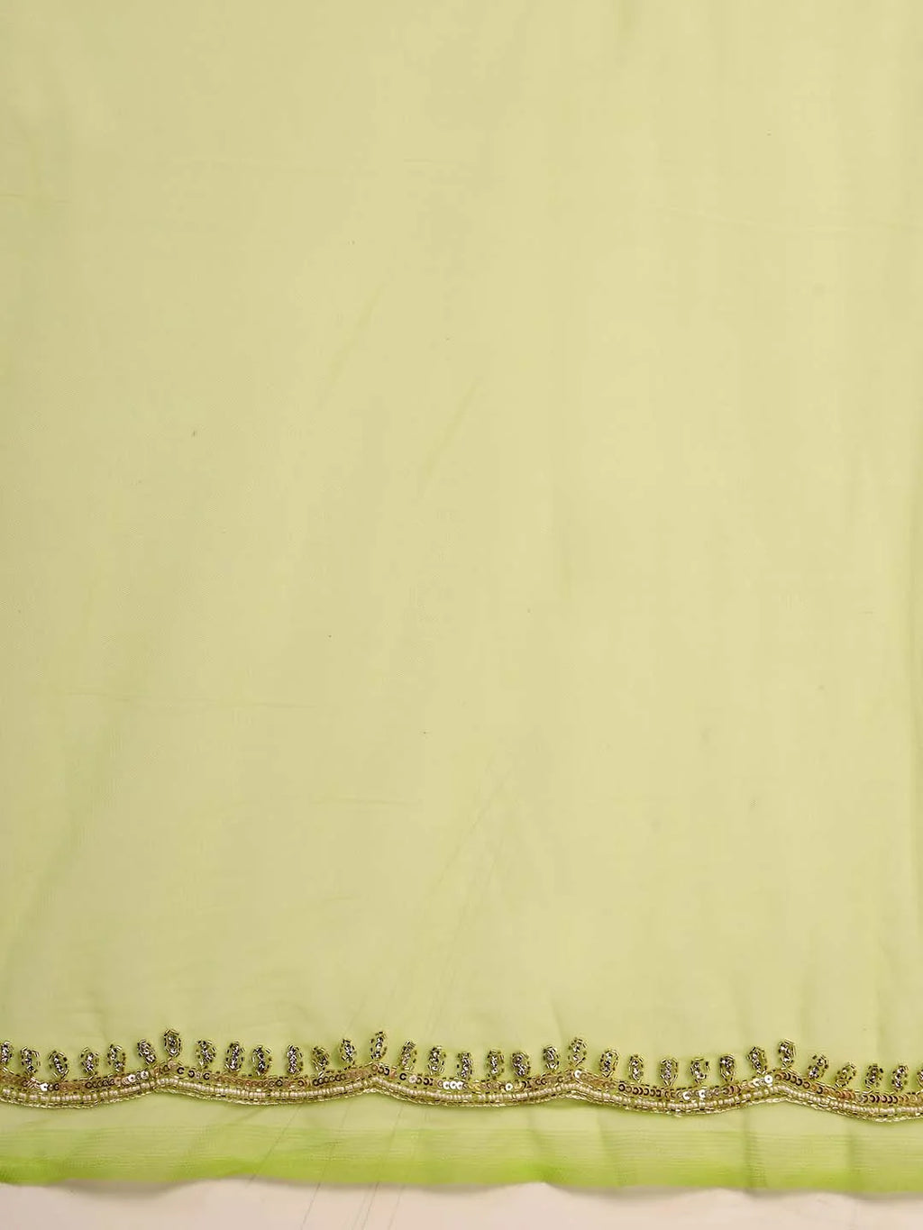 Full Length Back Angle View of Parrot Green Handpainted Net Saree