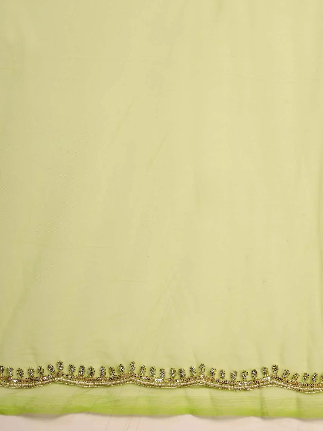 Full Length Back Angle View of Parrot Green Handpainted Net Saree