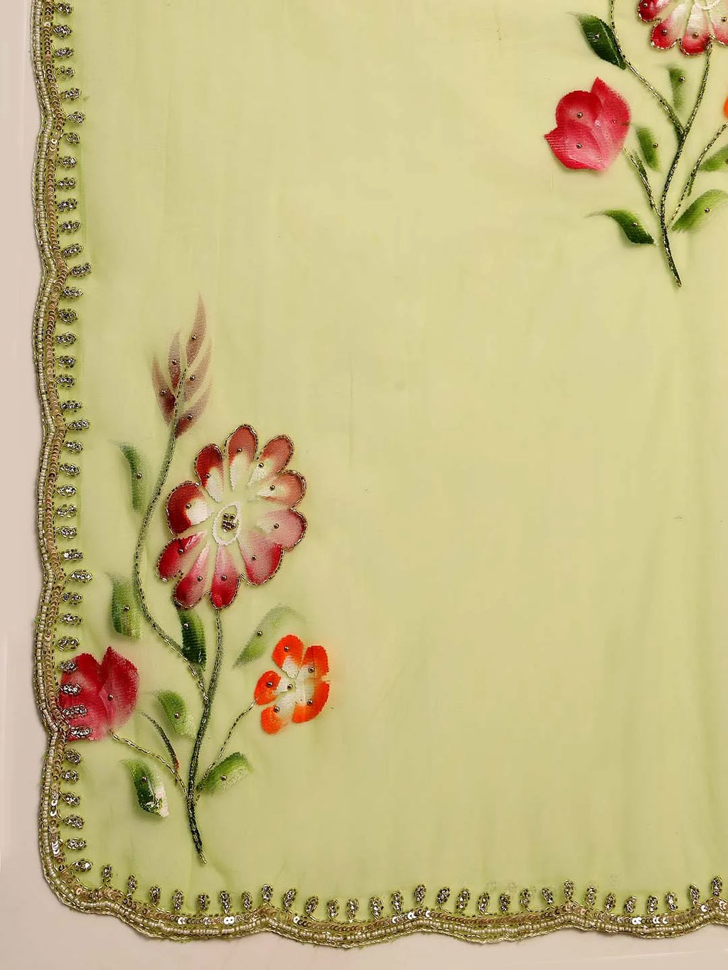Close up Shot of Colourful Floral Handpainted Motifs on Butterfly Net