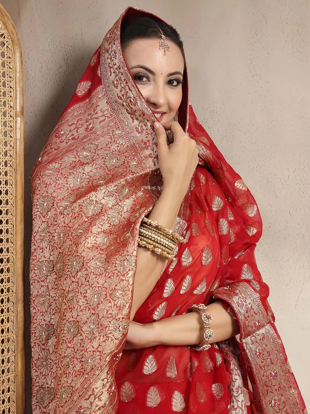 Close up of Traditional Banarasi Floral Vine Woven Pallu with Tassels